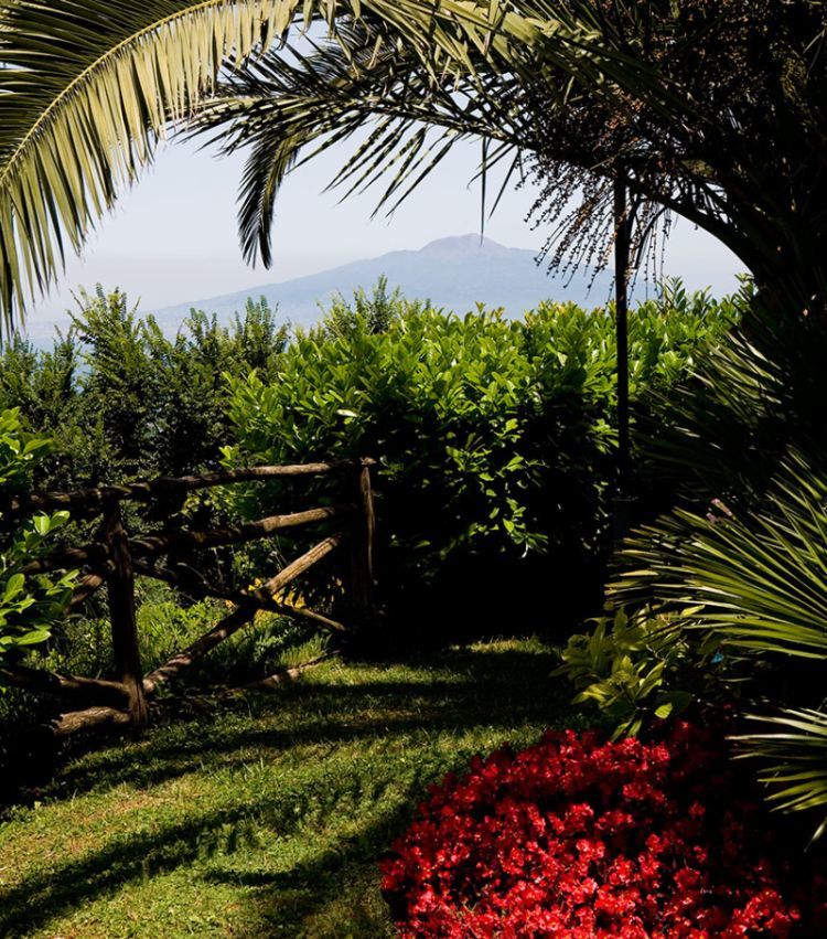 Due Golfi Grand Hotel SantʼAgata sui Due Golfi Esterno foto